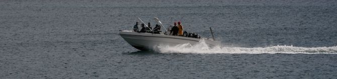 Orcinus passing Alghero