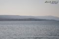 <p>Alghero</p>
