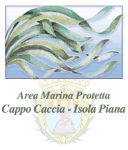 Capo Caccia